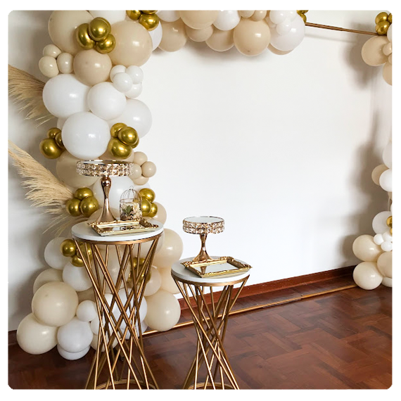 Coronación miss sudamerica